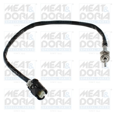Sensor, exhaust gas temperature